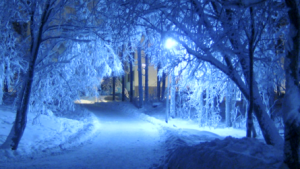 winter light